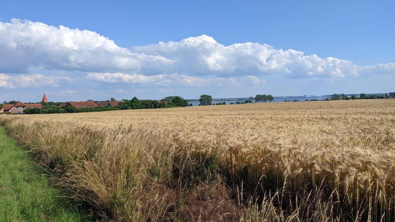 Апартаменты Ferien Auf Der Insel Poel Kirchdorf  Экстерьер фото